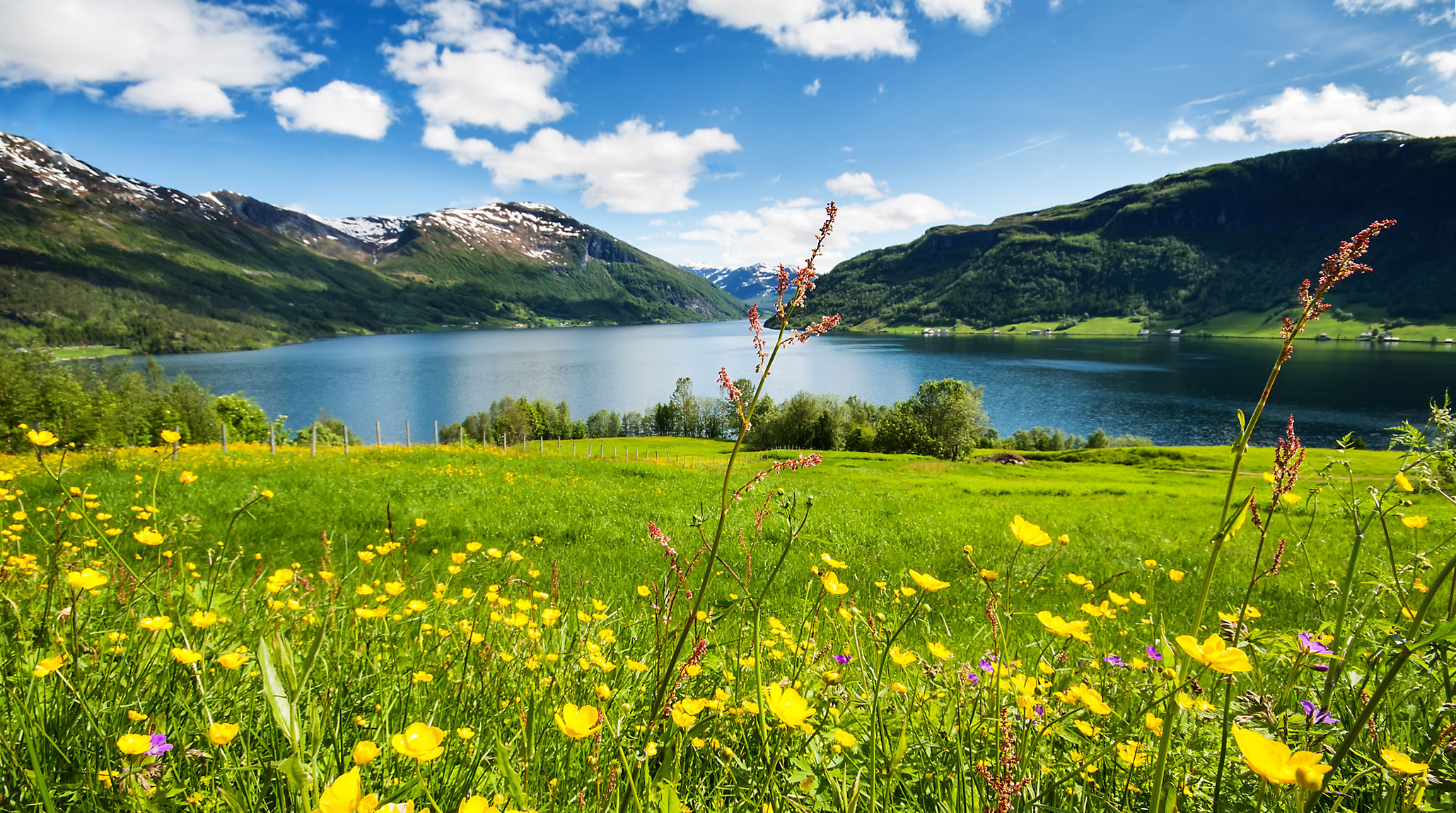sommerbildeTopp.jpg